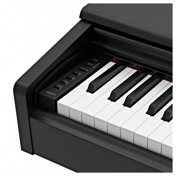 پیانو دیجیتال یاماها Yamaha YDP-145 - تصویر 2