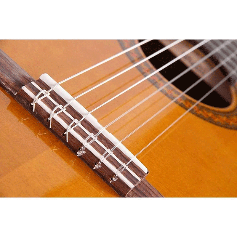 گیتار کلاسیک یاماها C70 - تصویر 2